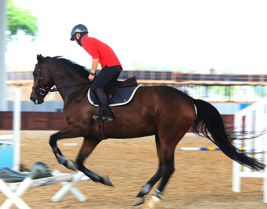 高温下马术训练场,人马同流汗,气味蒸腾,但腔调不能差一点