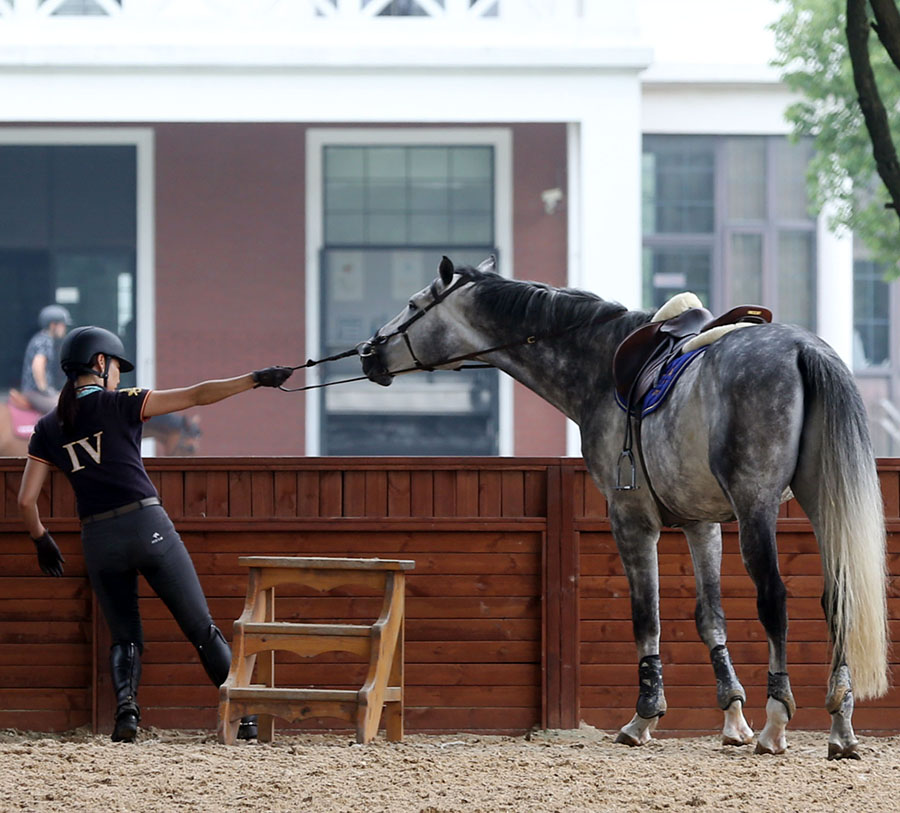 高温下马术训练场,人马同流汗,气味蒸腾,但腔调不能差一点