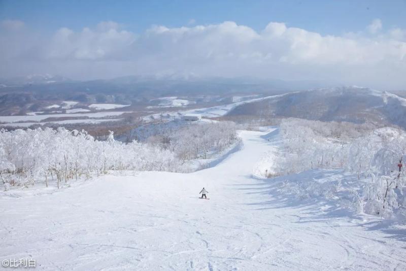 对滑雪上瘾?这位达人冬天刷遍欧洲日本滑雪场