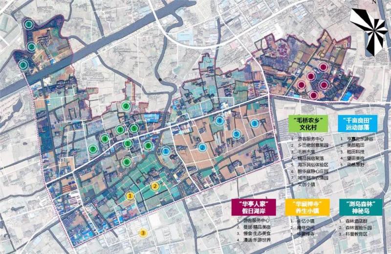 浙上海人口_上海人口(2)