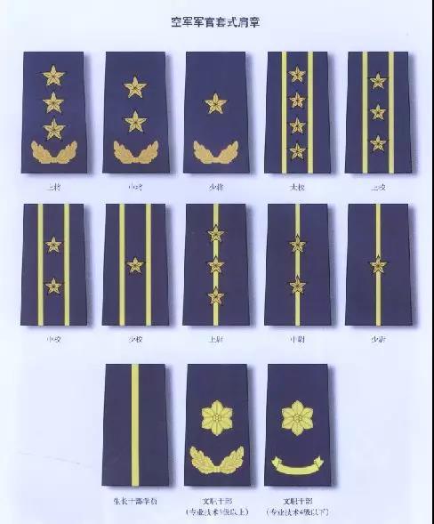 55式领章1955年刚授衔时空军领章分军衔领章和军兵种勤务符号领章两种