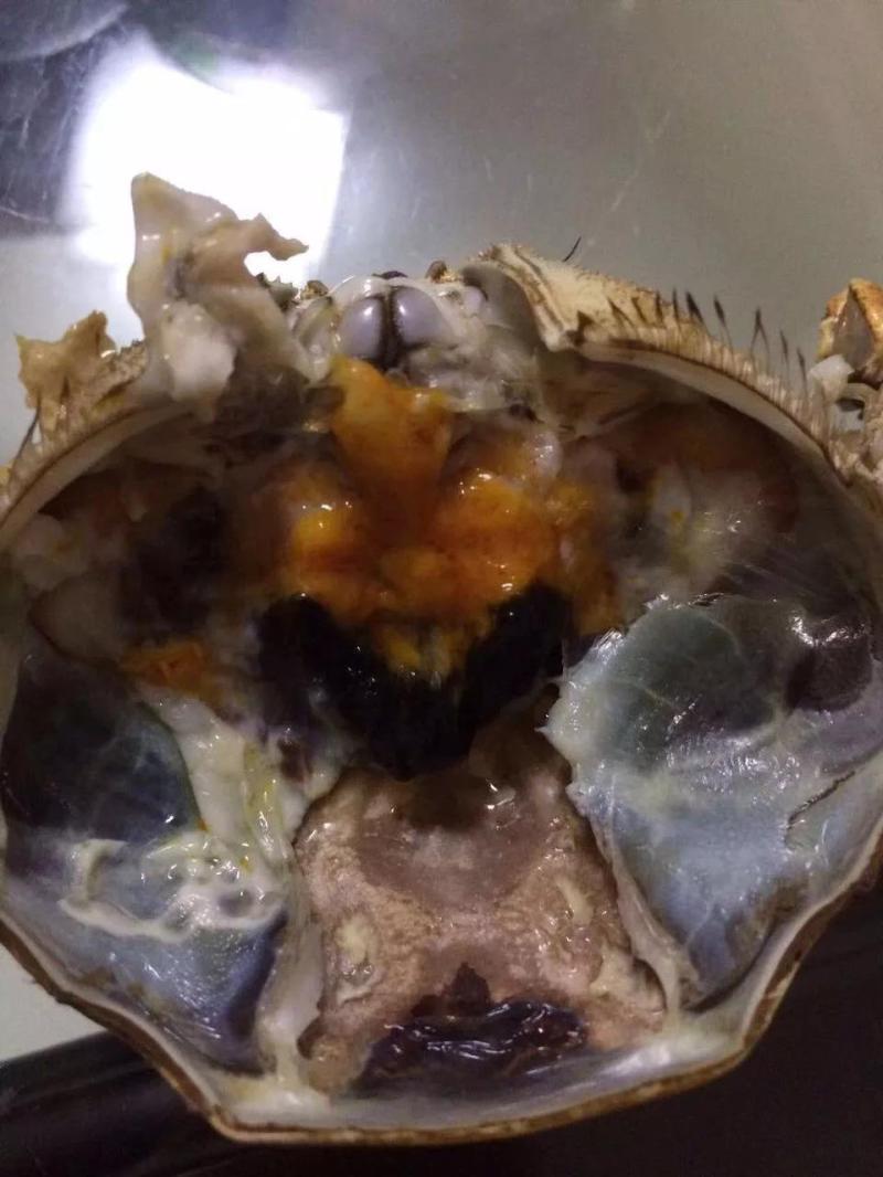 萧山小伙70元一斤买的螃蟹开壳后看到的一幕把他气坏了