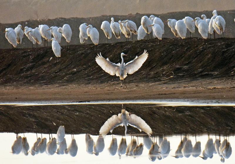 看世界埃博拉病毒正在刚果金蔓延