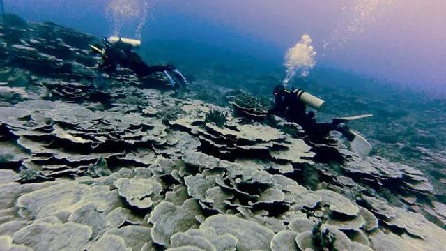中国积极为南海海底地貌命名 菲媒:只是"冰山一角"