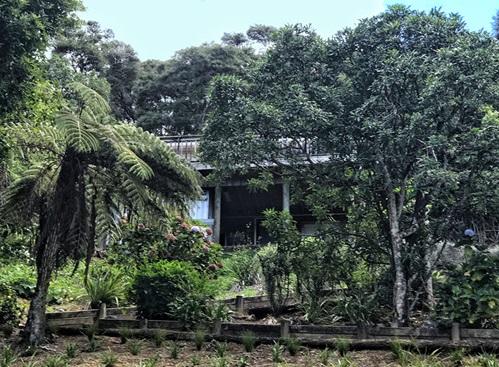 新西兰激流岛上顾城那双黑色的眼睛还亮着吗