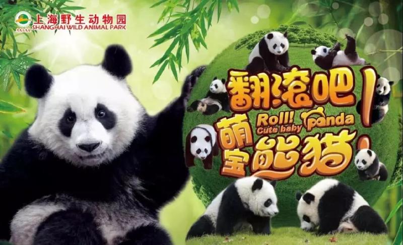 清明3天小长假指南，上海各大景点的精彩活动都在这里了