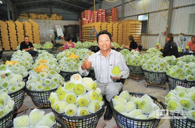 台湾凤梨价崩 台水果商:大陆同胞不买台独水果