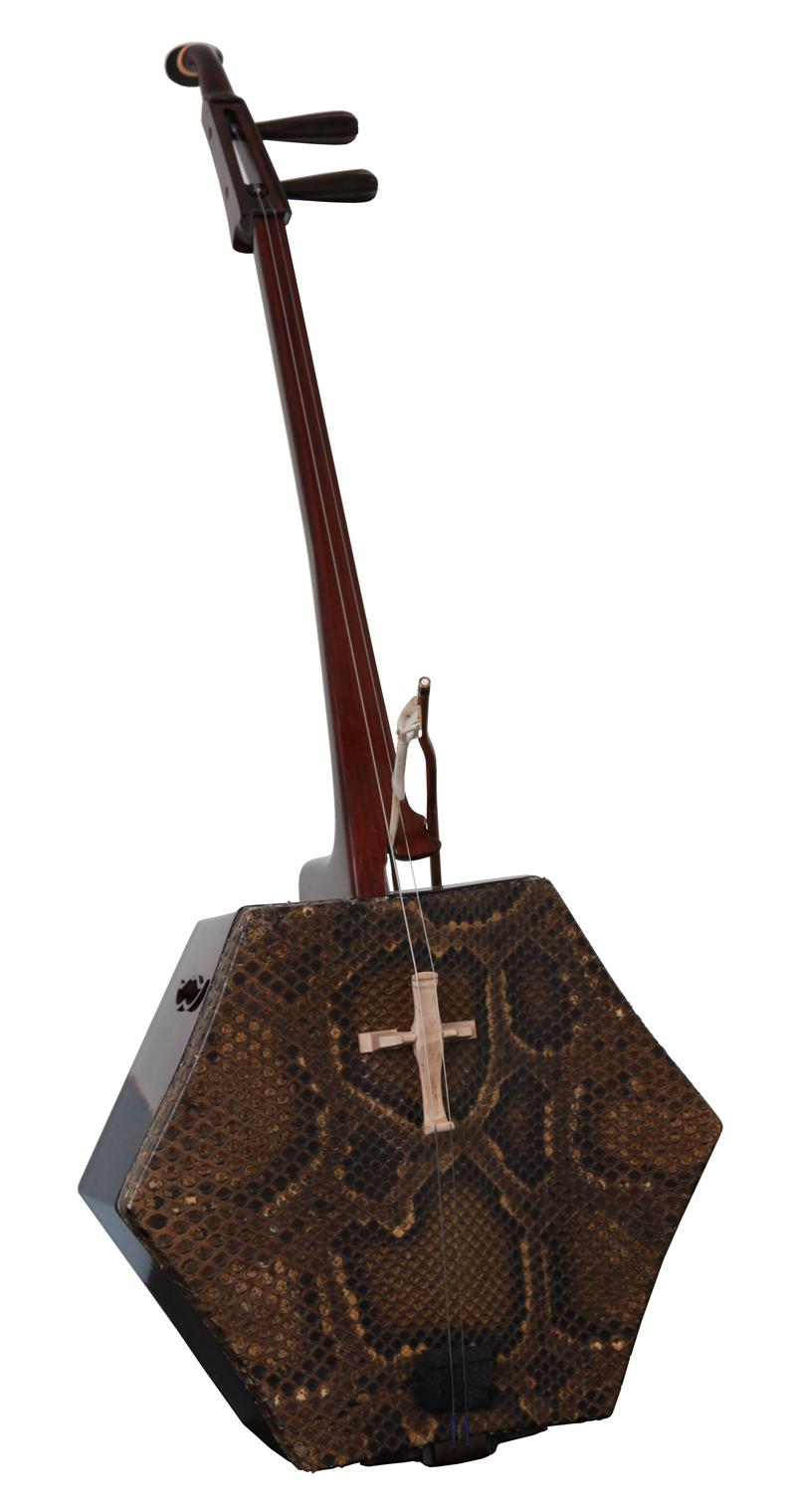 上海民族乐器一厂推出新创民族低音拉弦乐器