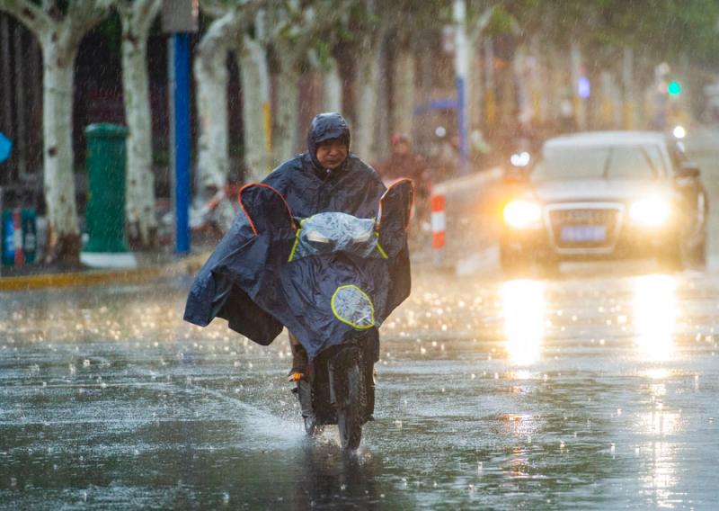 台风温比亚登陆上海今晨的大风大雨你湿了么