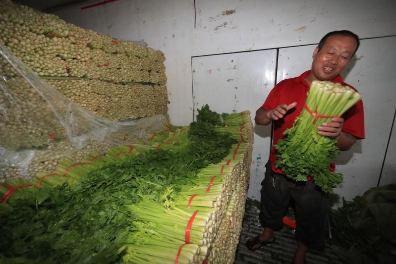 稳价保供措施来了!上海蔬菜集团启动预案,减免