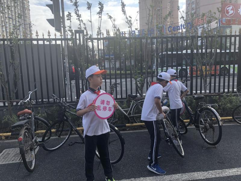 被老虎追还是追蝴蝶飞?上海试点零起点深化