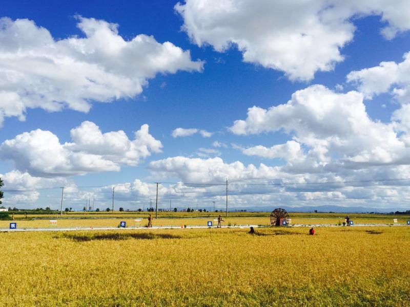 火山温泉、冰雪景观、森林湿地、历史文化,这