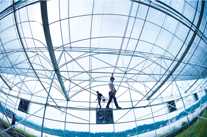 乡村振兴战略实施情况的调查与思考