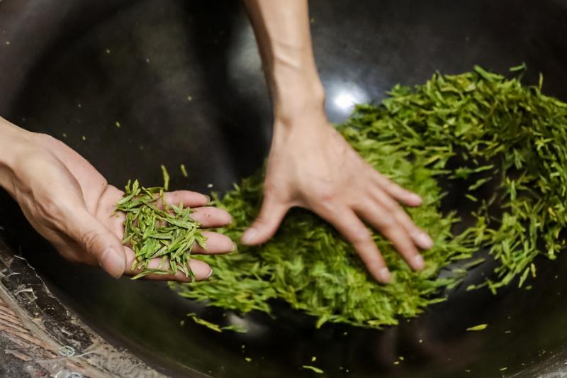 探访"明前茶":采摘3.6万个芽头,炒成1斤茶